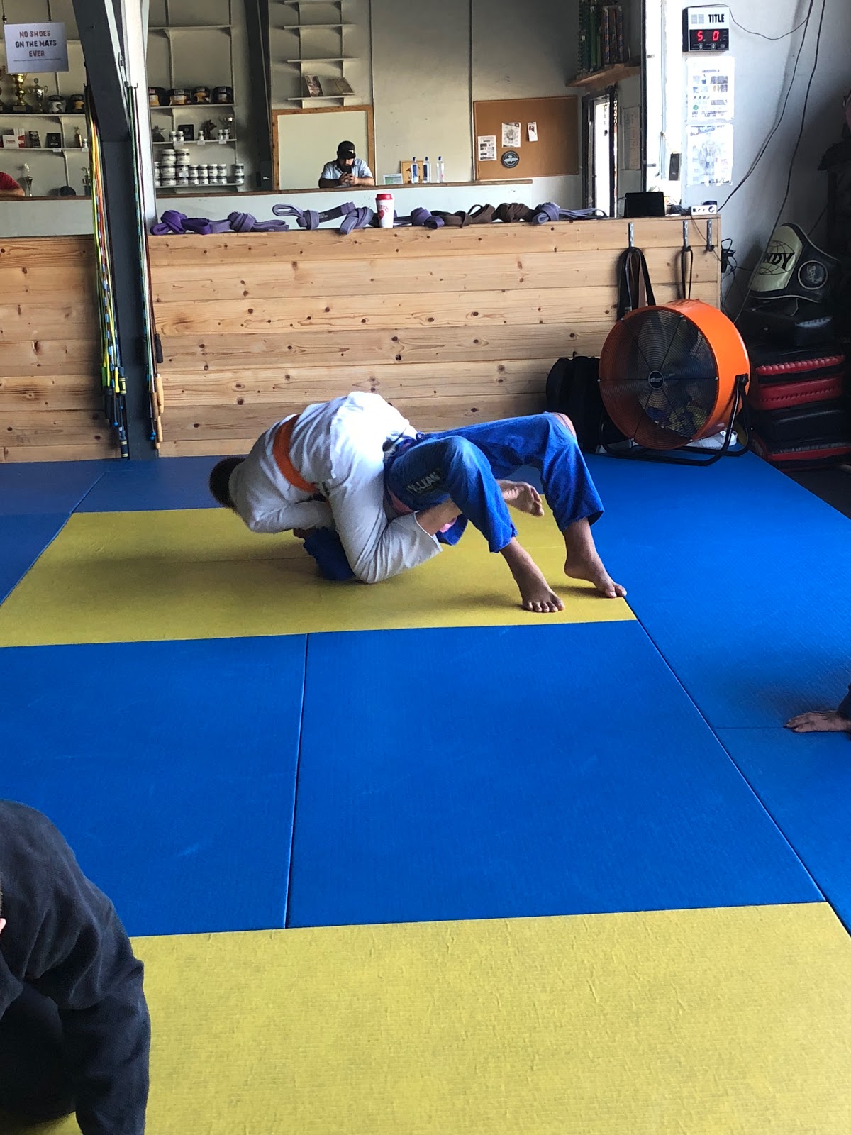 Image 9 of Tomacelli Academy: Brazilian Jiu-Jitsu & Mixed Martial Arts