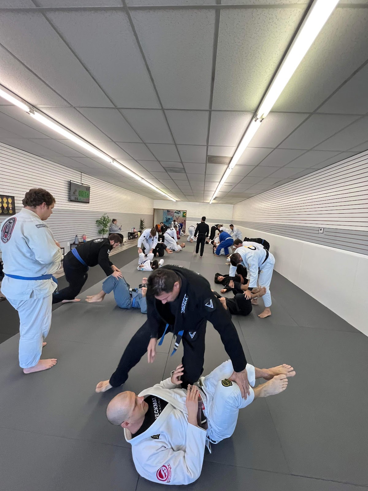 Image 3 of Virtus BJJ Checkmat Pensacola