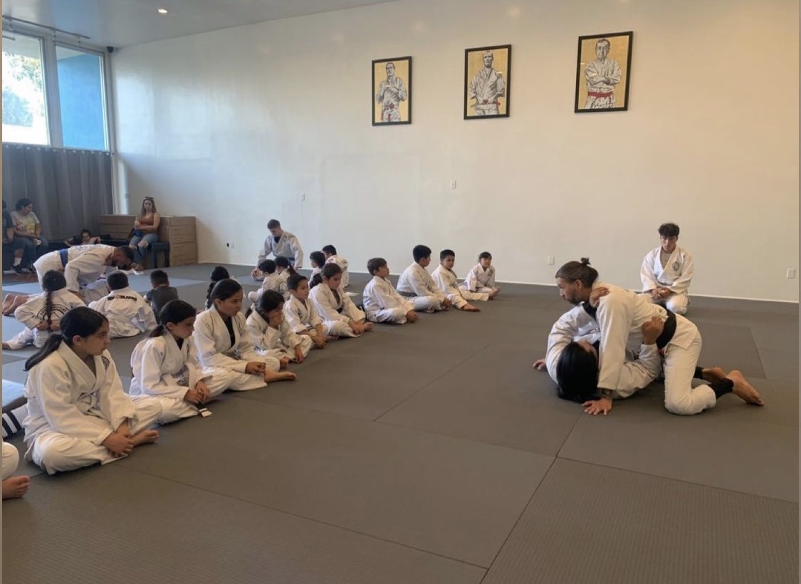 Six Blades JiuJitsu / Artemis Academy photo