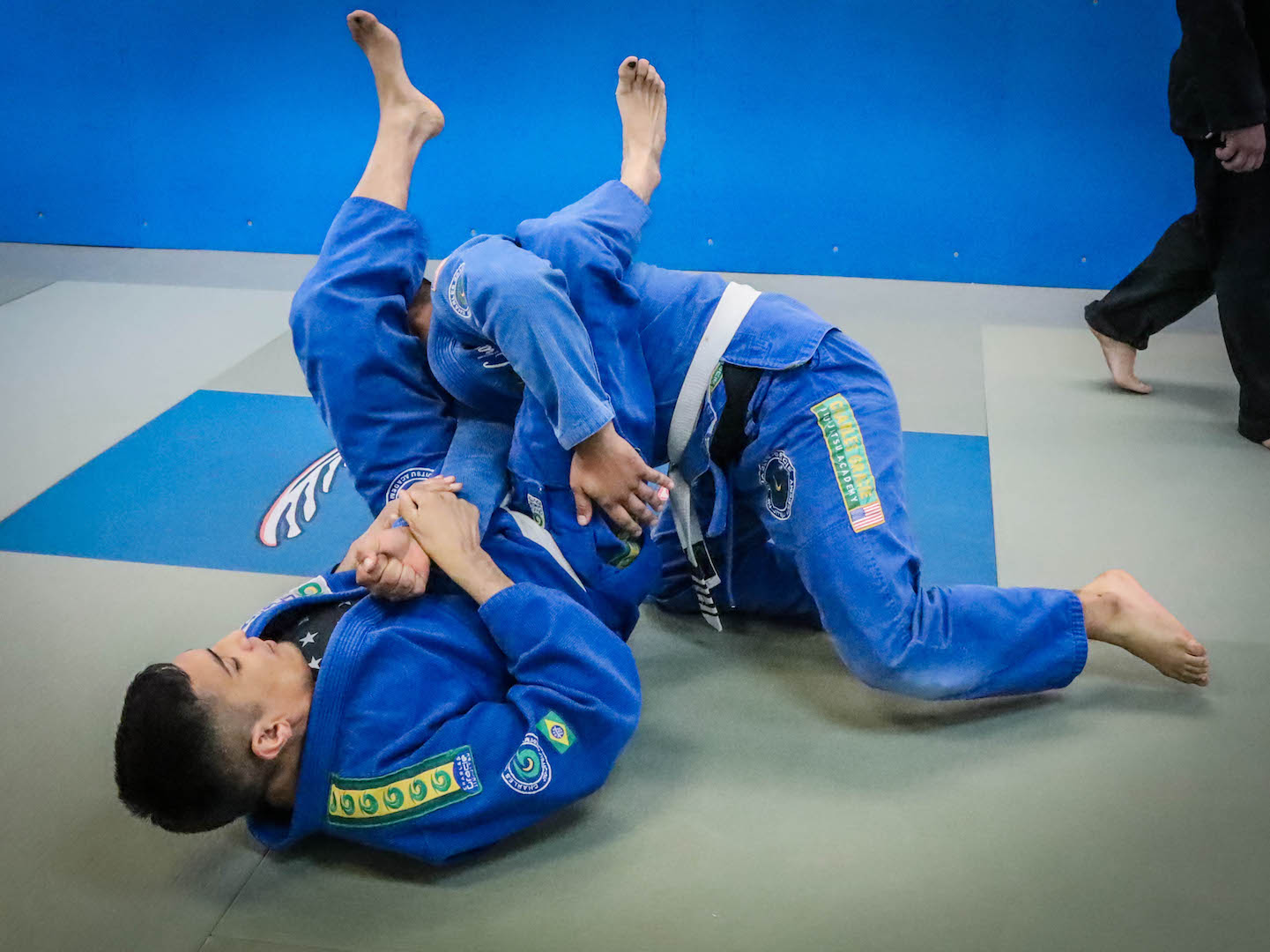 Image 4 of Gracie Academy Brazilian Jiu Jitsu