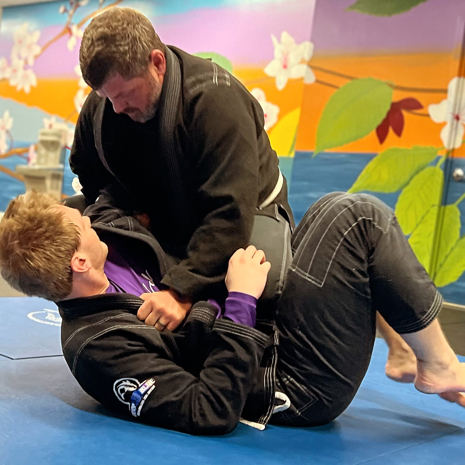 Image 9 of Deep Blue Brazilian Jiu Jitsu