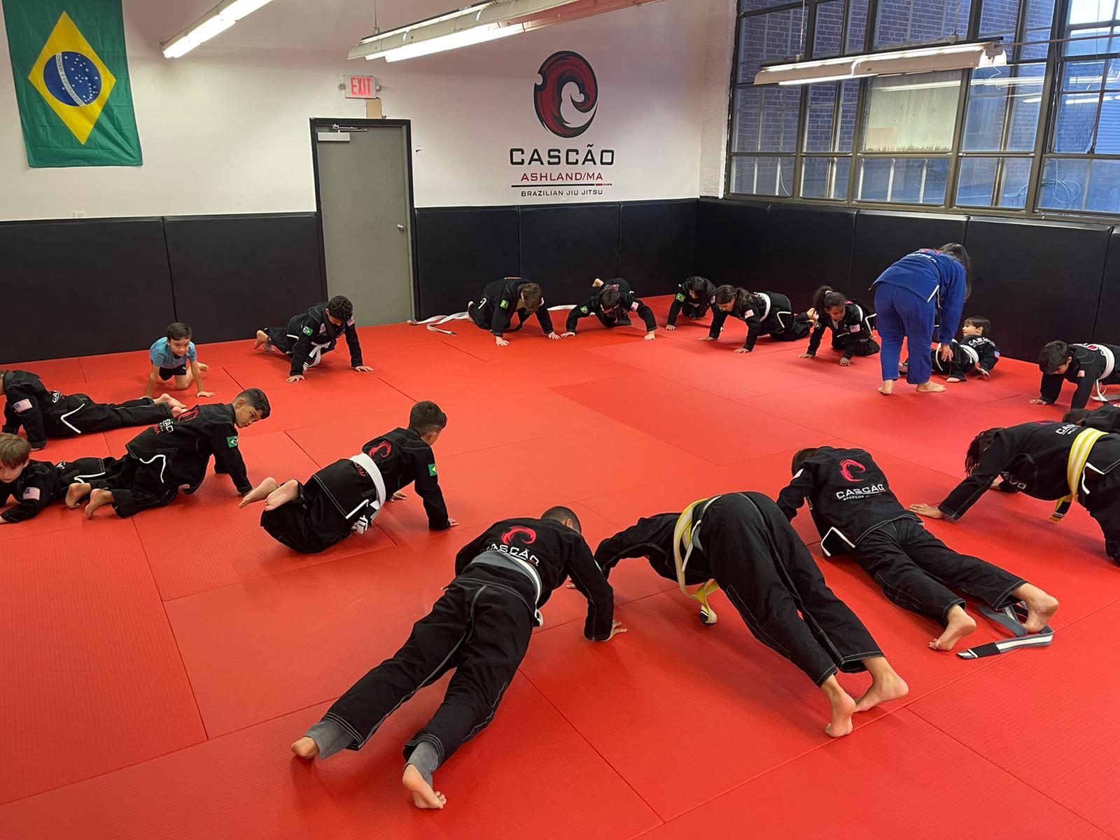 Image 10 of Soul Fight Brazilian Jiu Jitsu