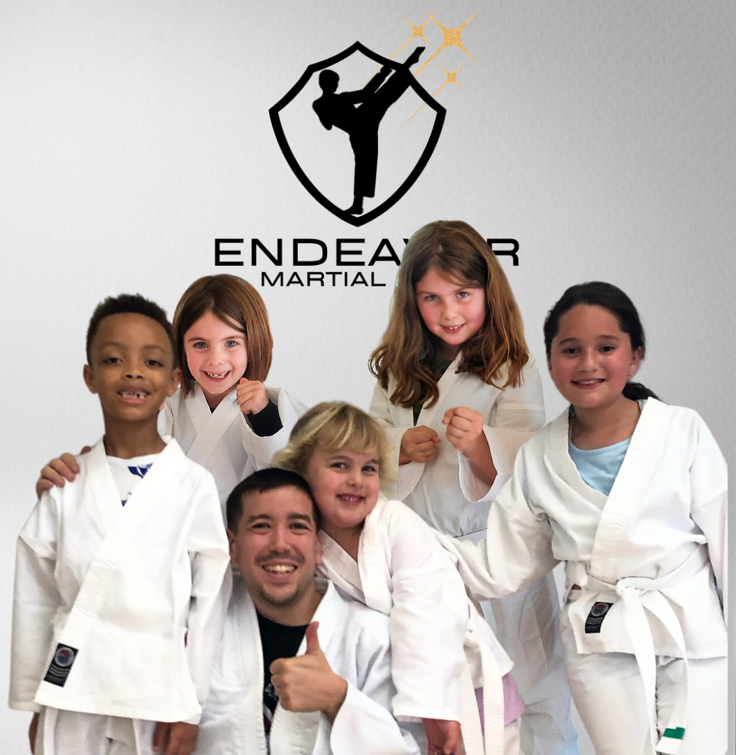 Endeavor Martial Arts - Gracie Brier Creek photo