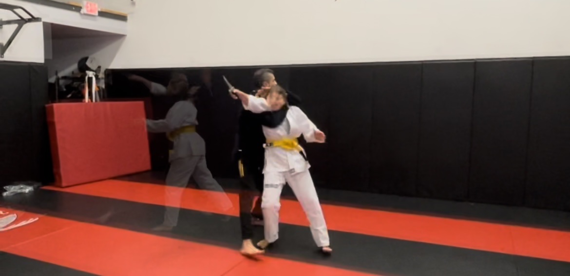 Image 2 of Lake Travis Jiu-Jitsu Club