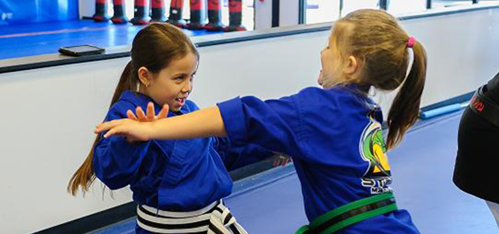 Image 8 of Stryker Martial Arts/Carlos Machado Jiu-jitsu Bristol Va