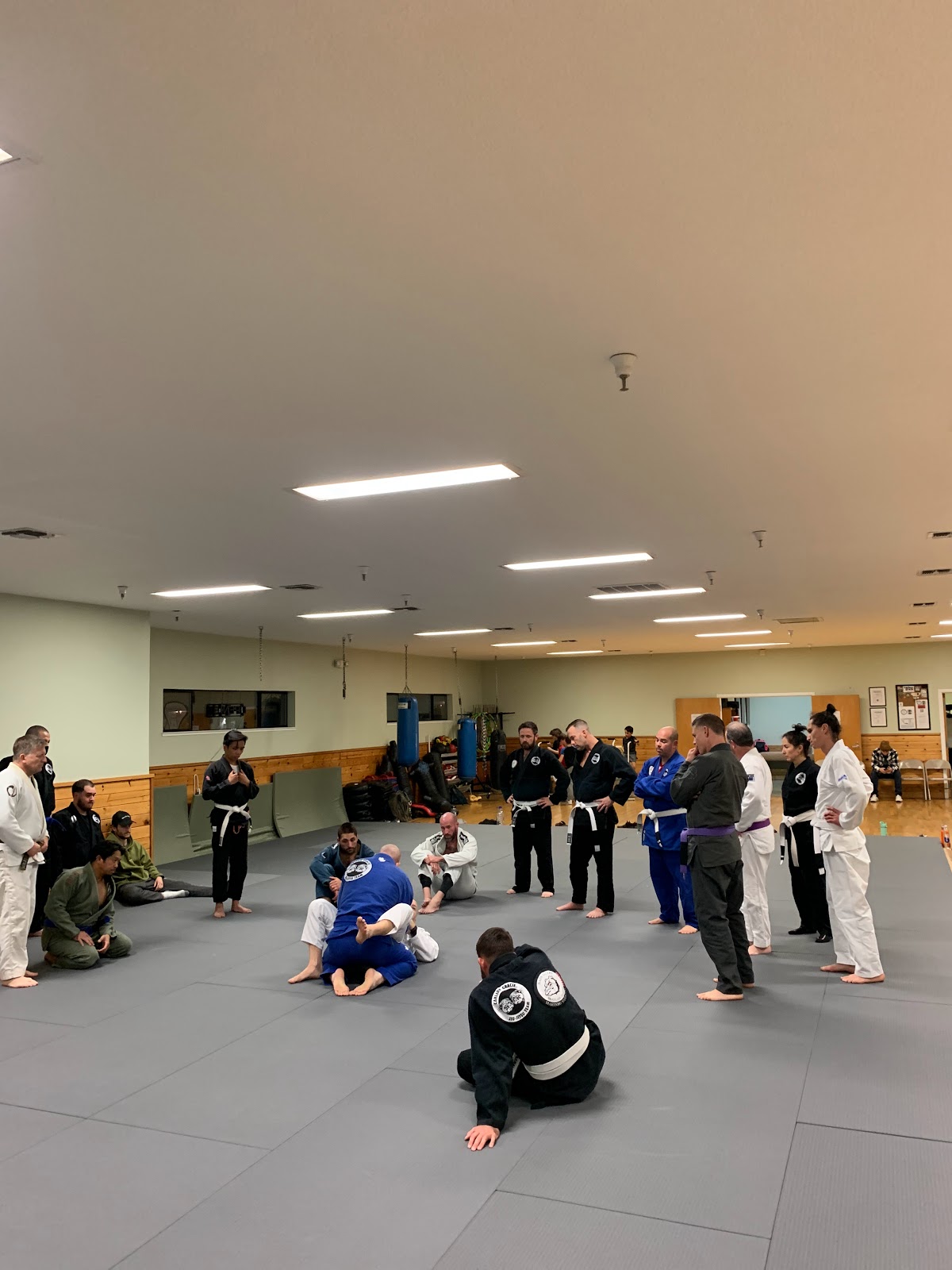 Carlson Gracie Napa Valley Brazilian Jiu-jitsu & Self Defense / Marinho / NVMAW photo