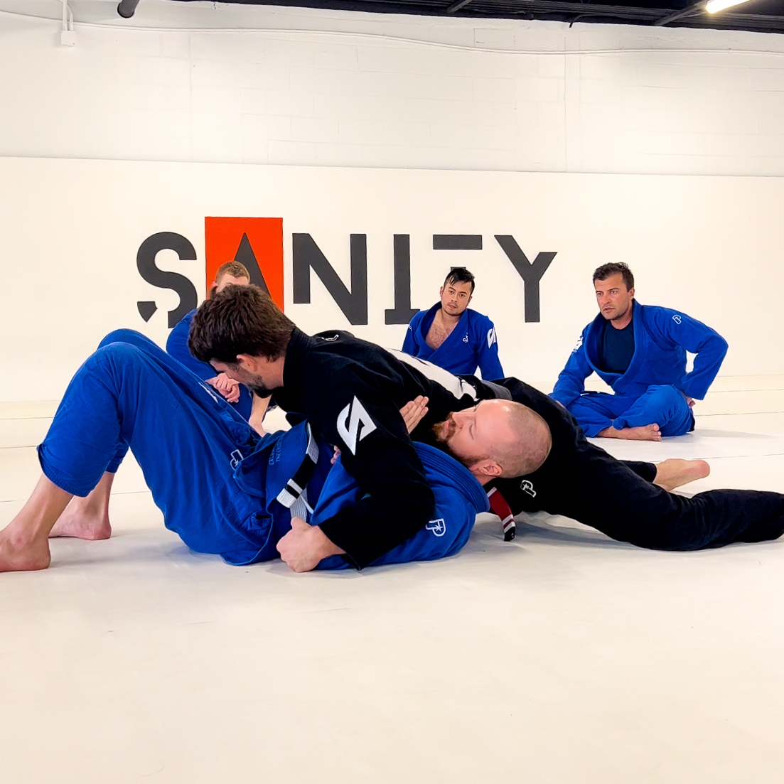 Image 7 of SANITY JIU JITSU WINTER GARDEN