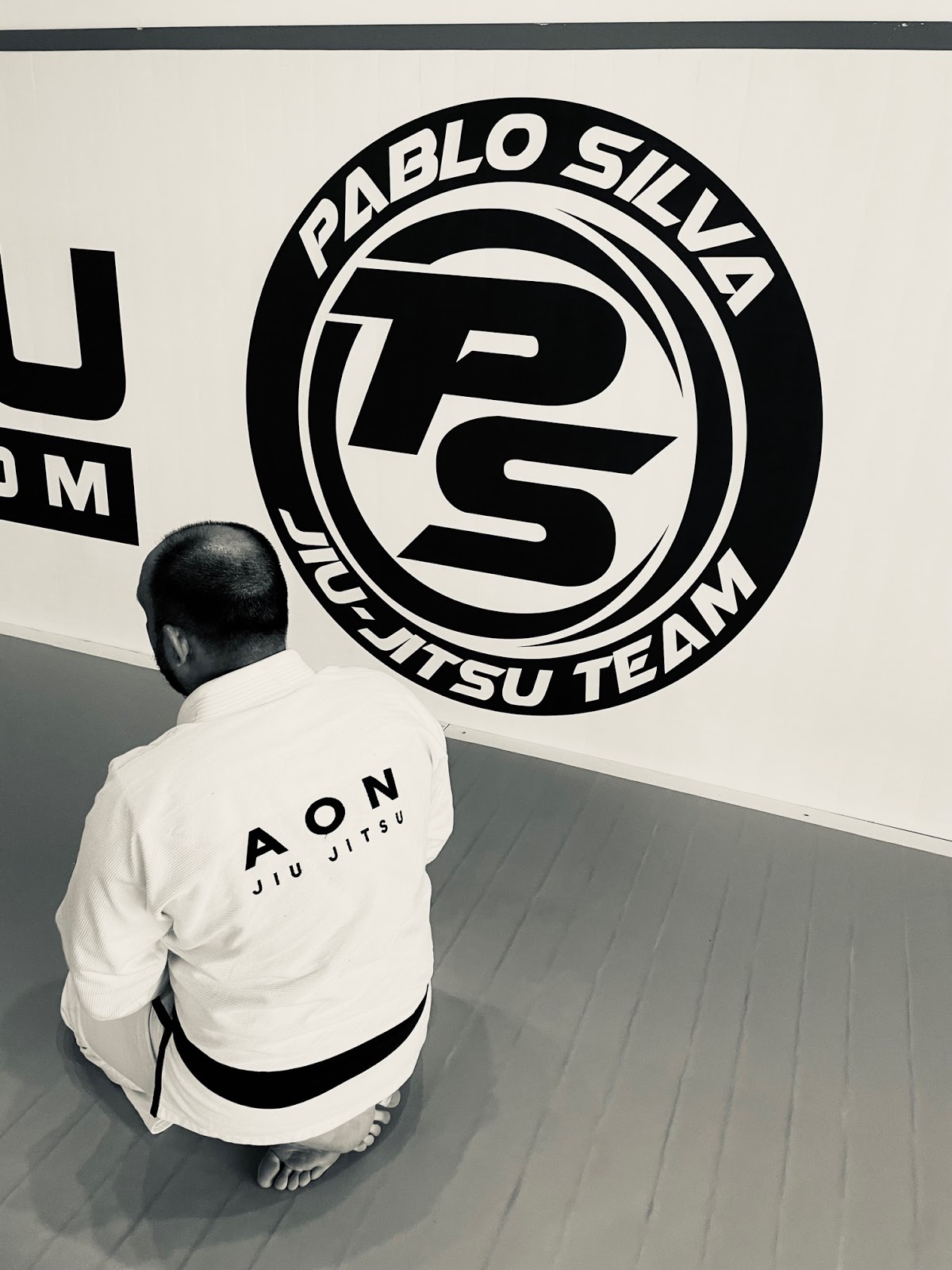 Image 7 of AON Jiu Jitsu