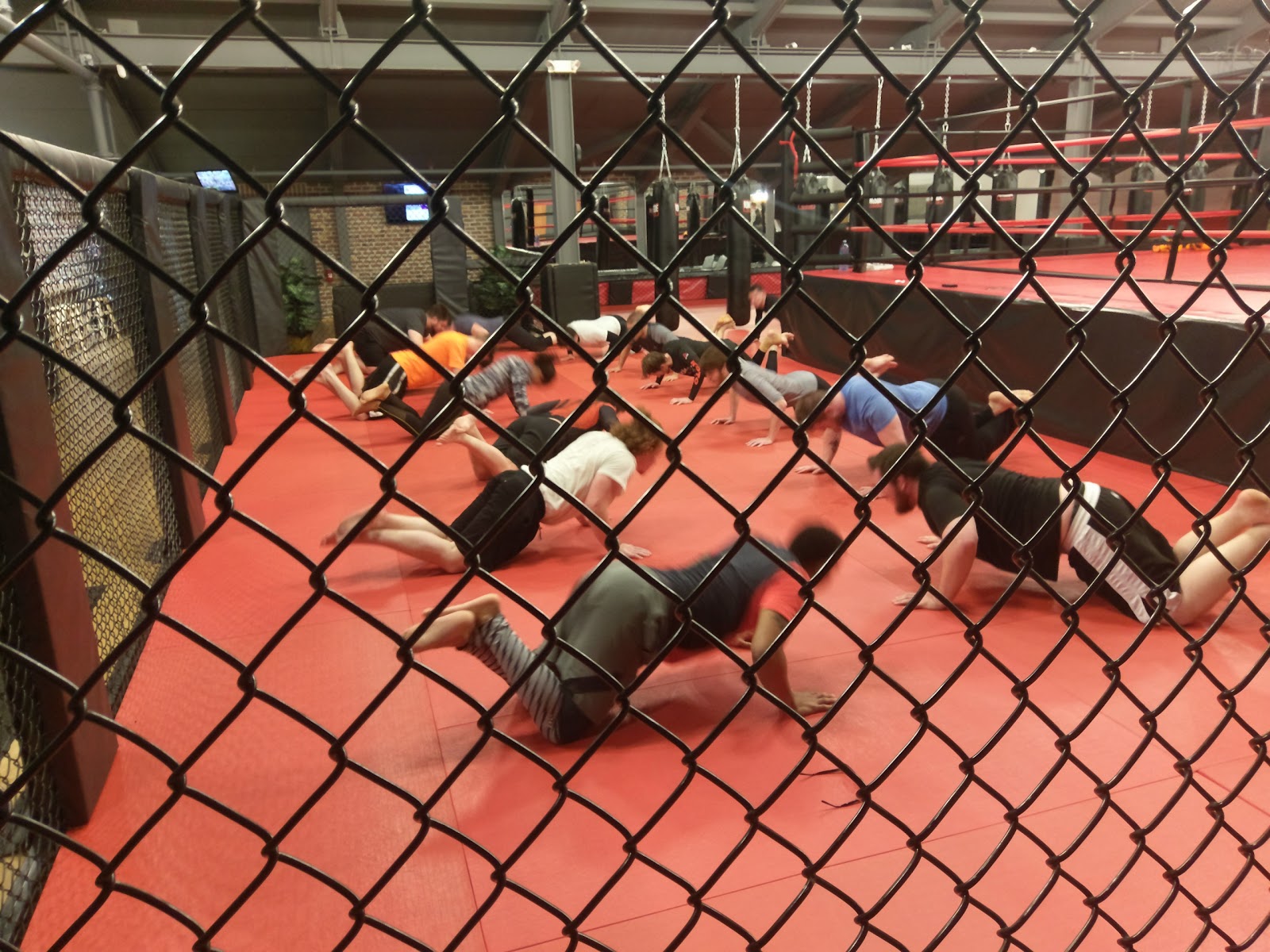 Image 7 of Brazilian Jiu-Jitsu Academy State College