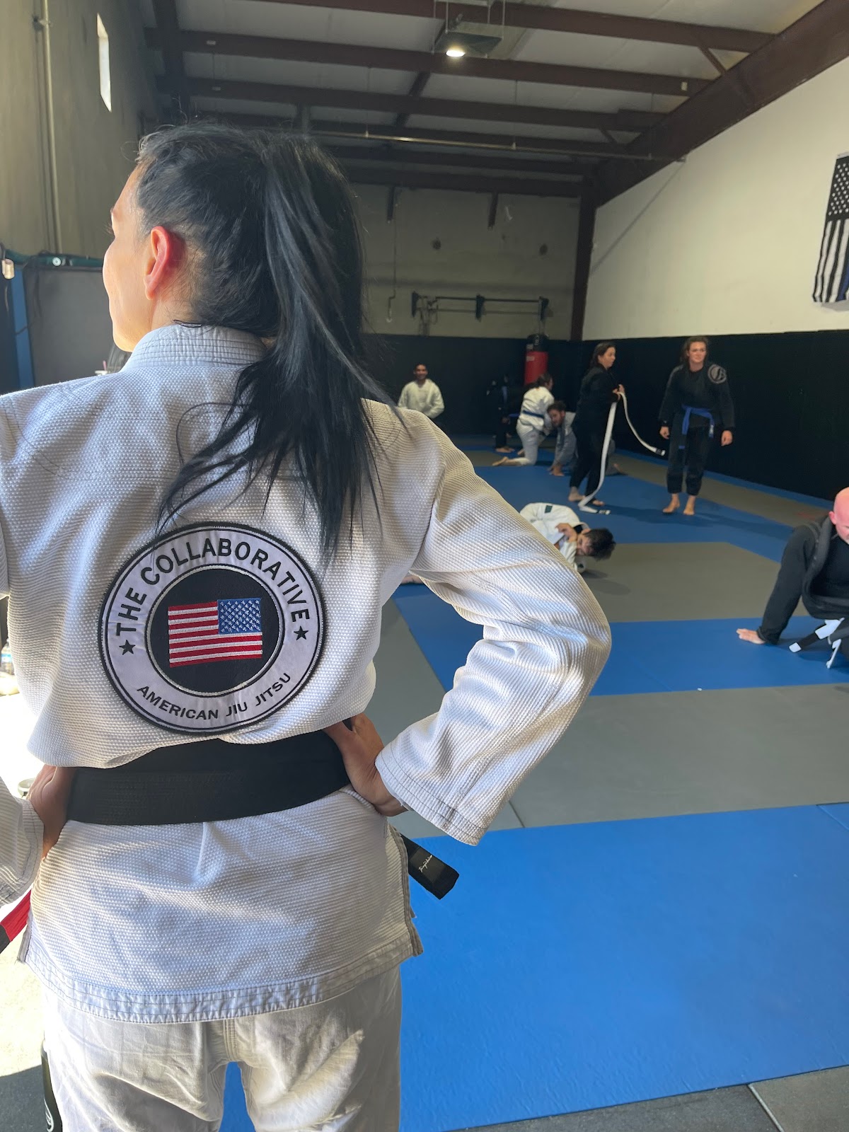 Image 2 of The Collaborative American Jiu Jitsu