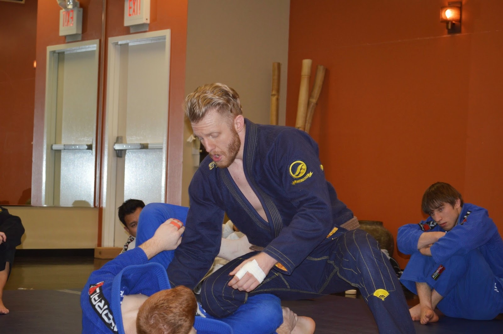 Image 3 of Standard Jiujitsu