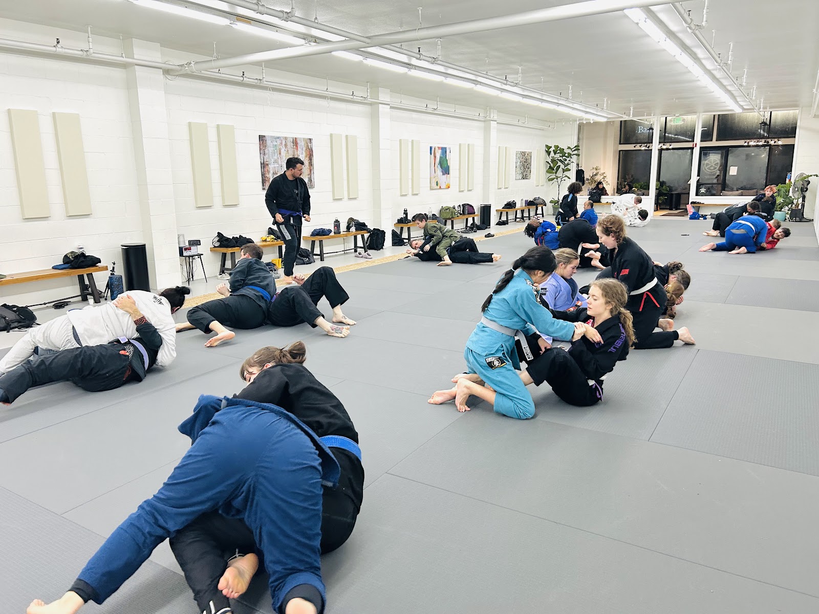 Main image of Bold Spirit Jiu Jitsu Academy