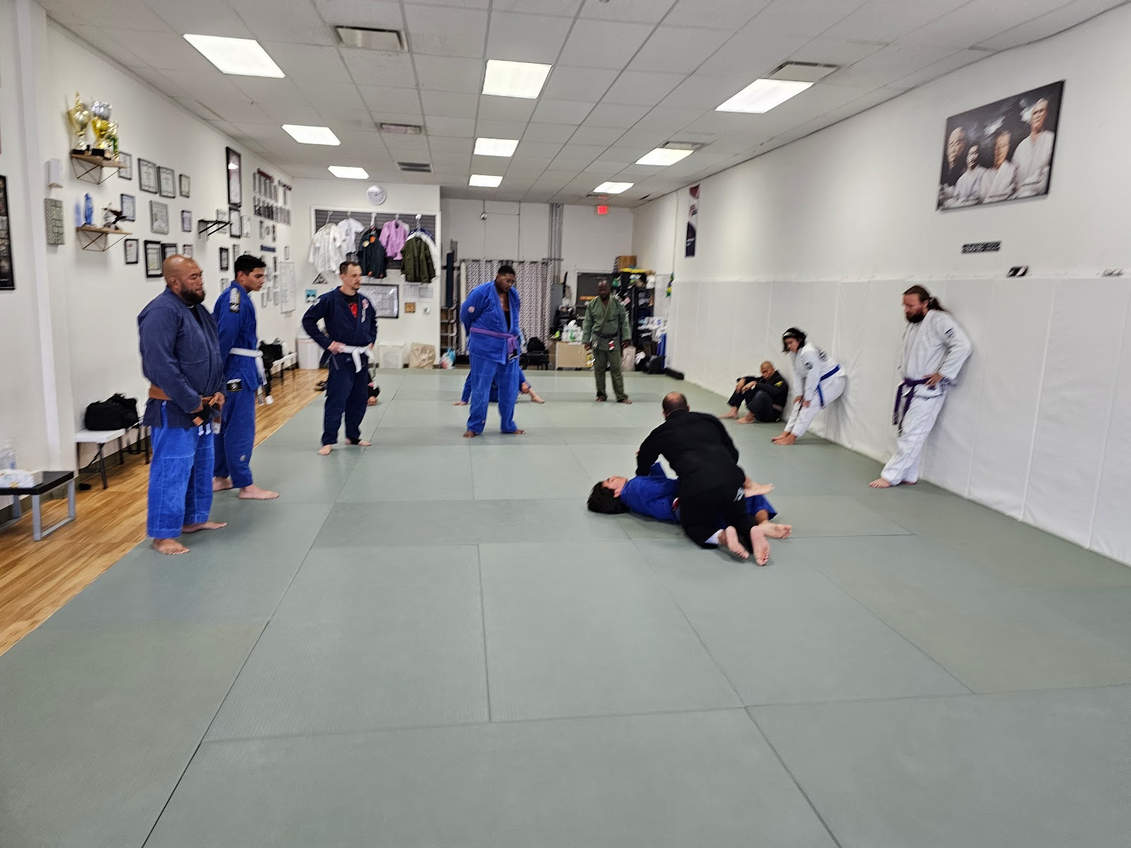 Image 3 of Semper Fortis Jiu Jitsu