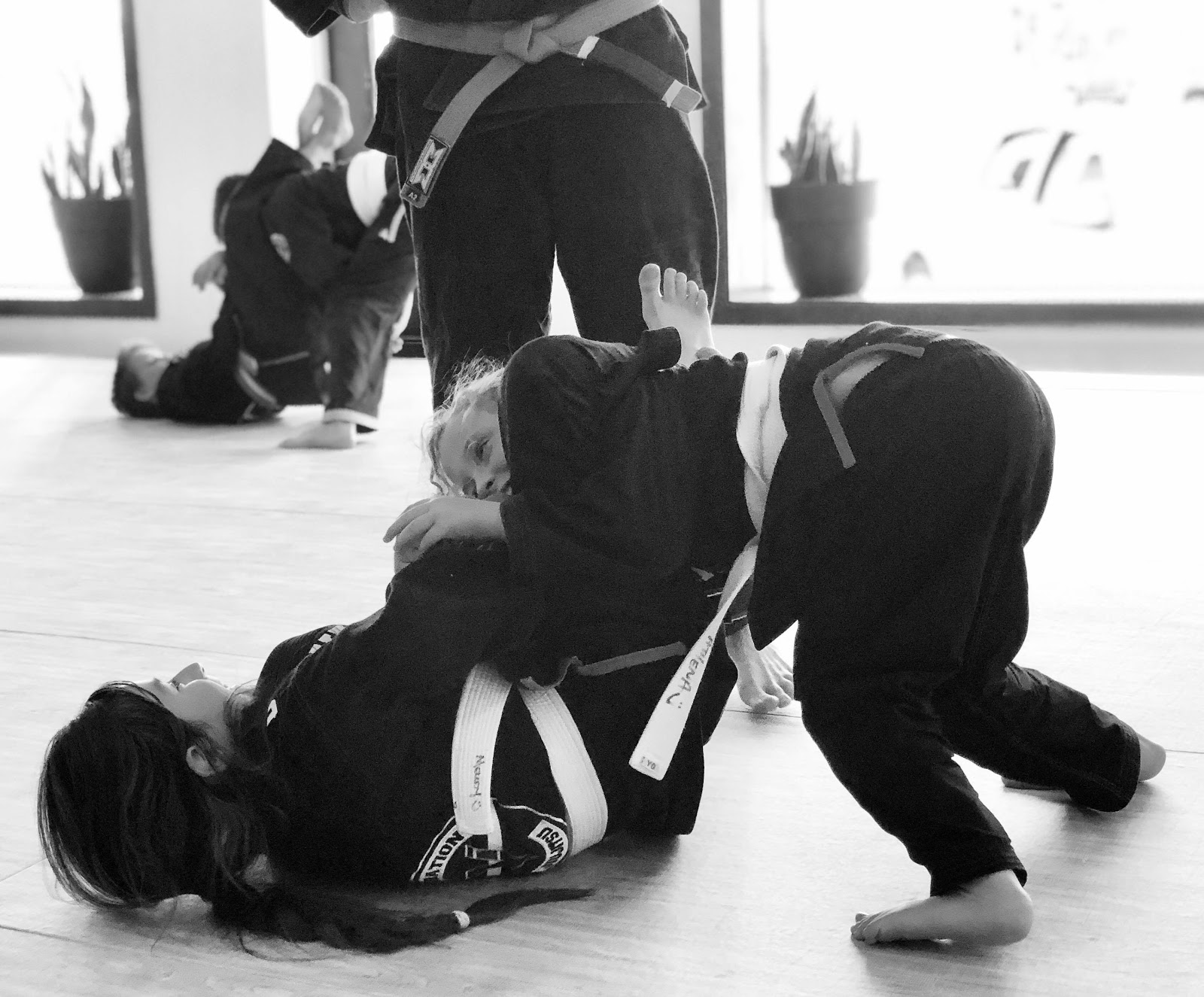 Image 7 of Cornerstone Brazilian Jiu Jitsu - Delavan