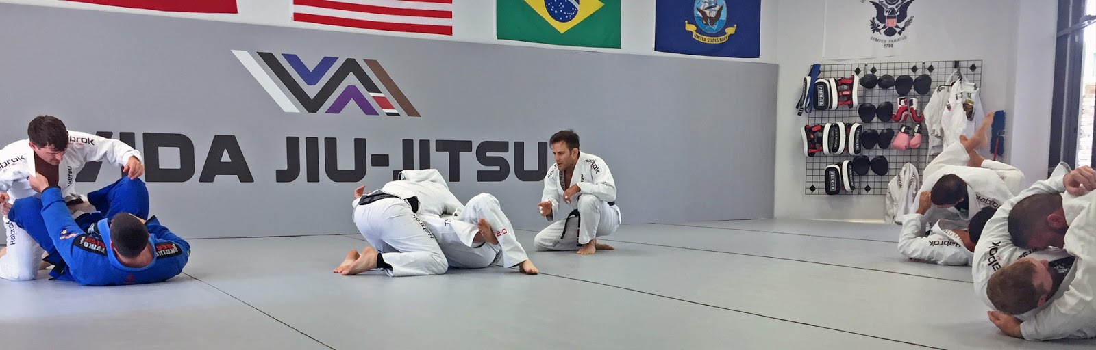 Main image of Vida Jiu-Jitsu