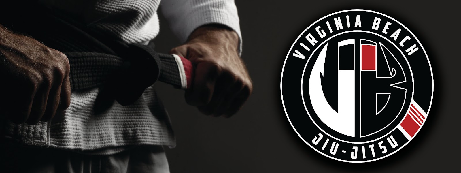 Virginia Beach Jiu Jitsu photo