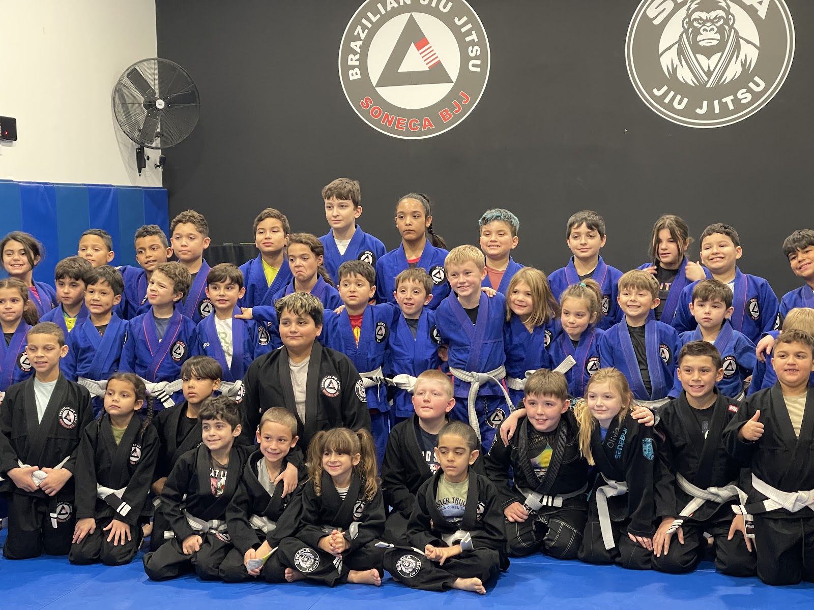 Image 8 of Soneca Brazilian jiu jitsu/ worcester