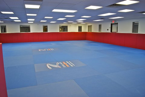 Image 6 of Ricardo Pires Brazilian Jiu-Jitsu