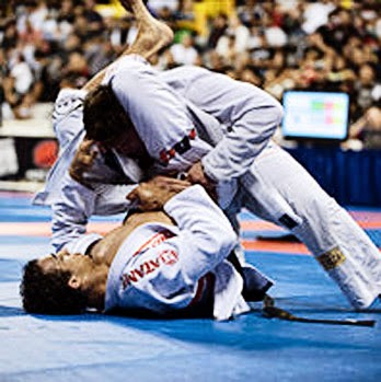 Image 4 of Palm BJJ Brazilian Jiu-Jitsu