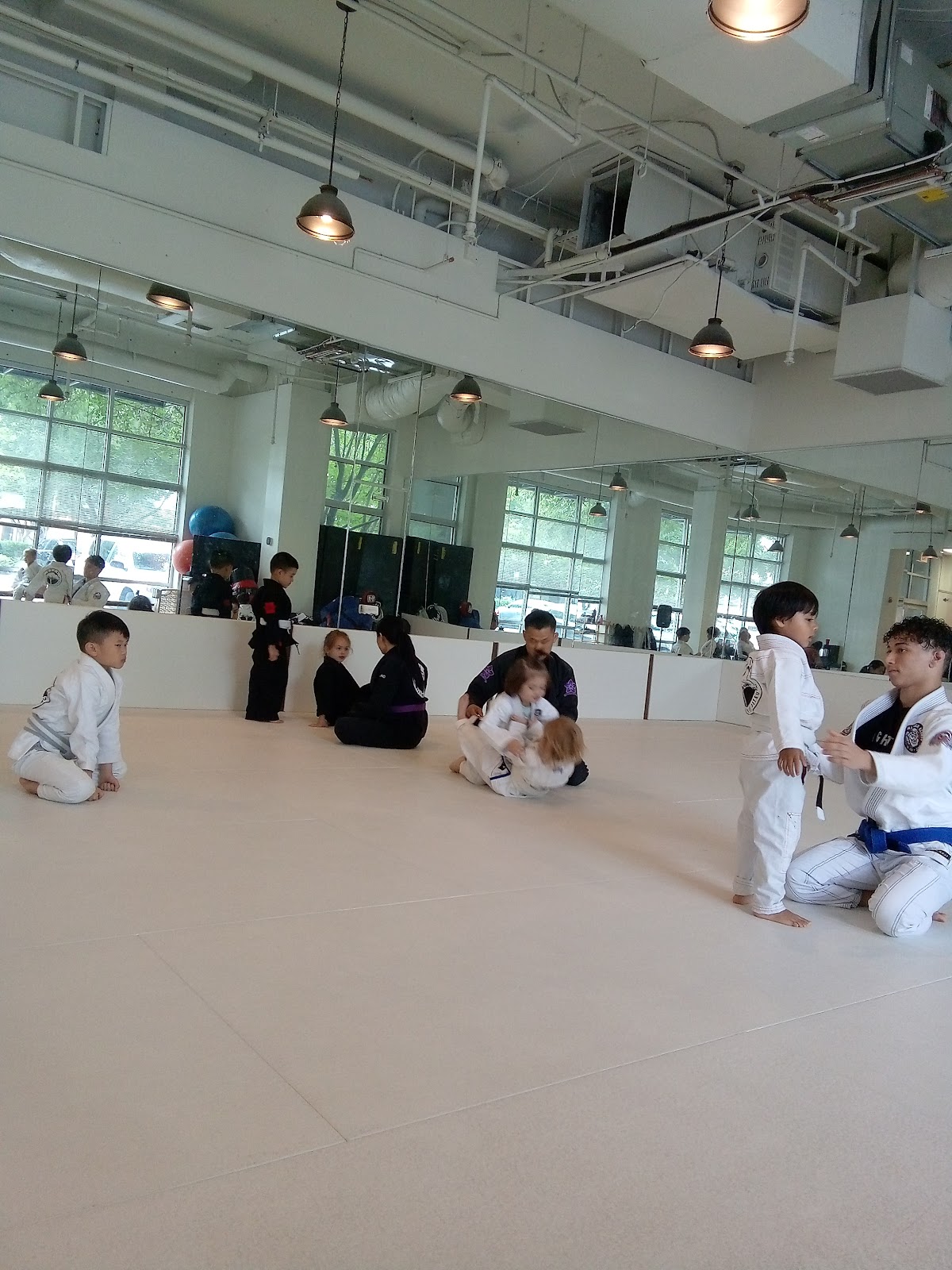 Image 3 of HEVA BJJ