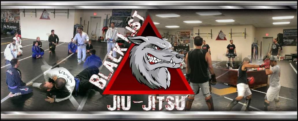 Blacklist Martial Arts photo