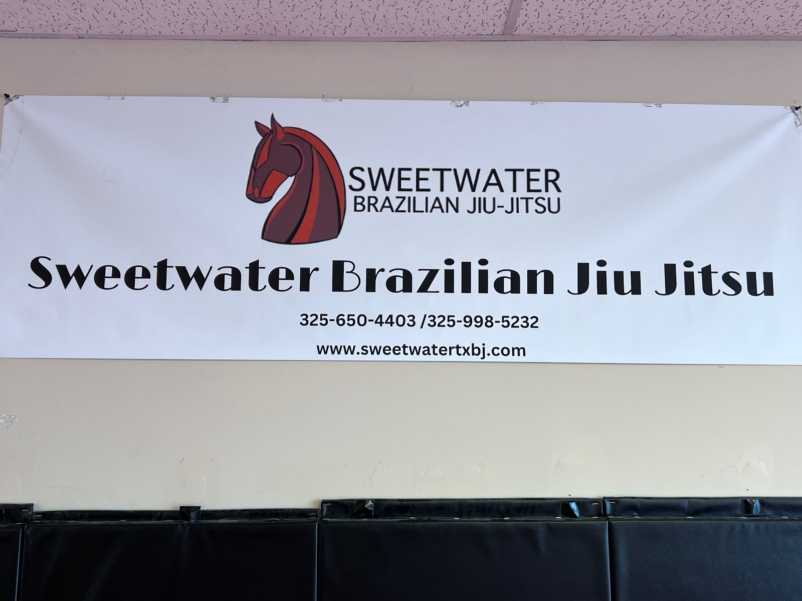 Main image of Sweetwater Brazilian Jiu Jitsu