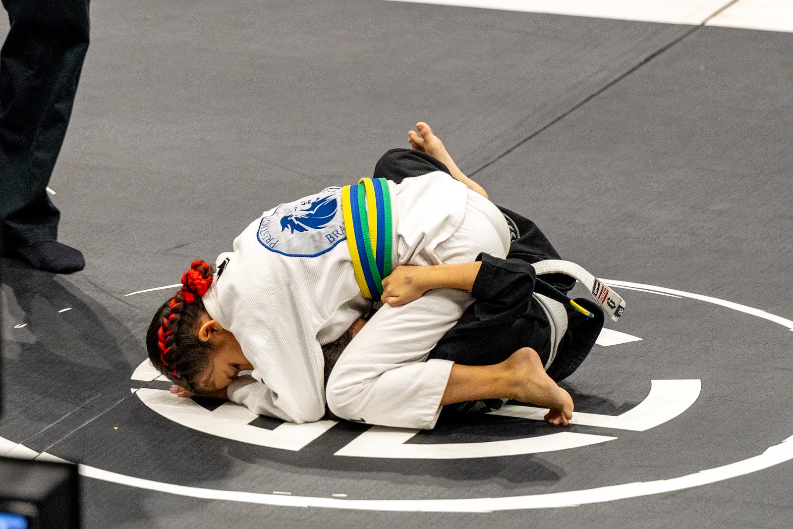 Image 6 of Prestige Brazilian Jiu-Jitsu