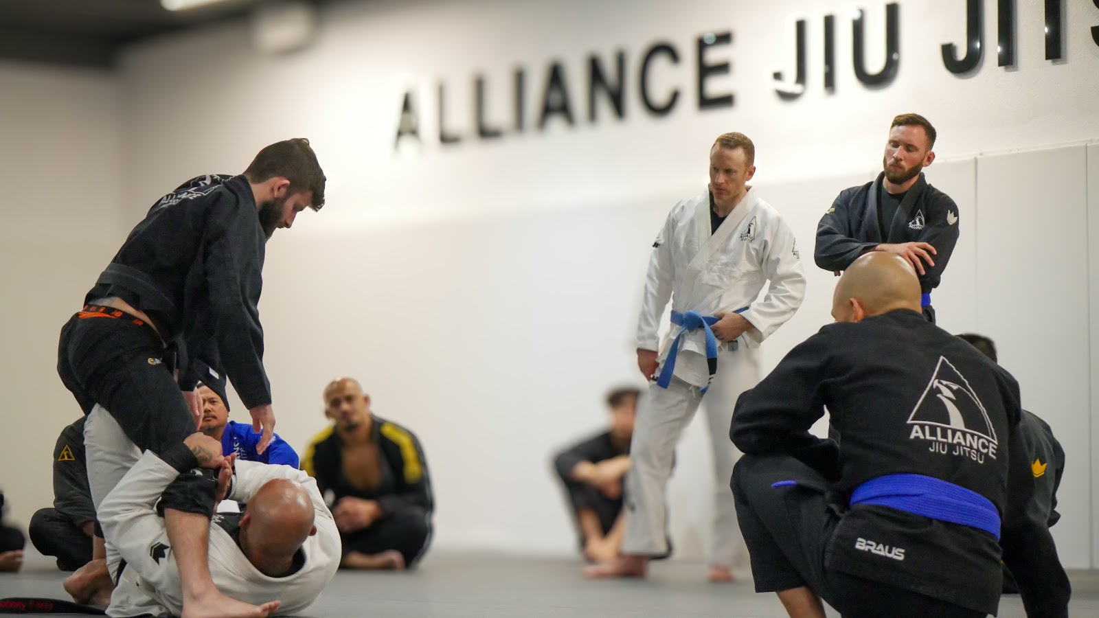 Alliance Jiu Jitsu Chula Vista photo