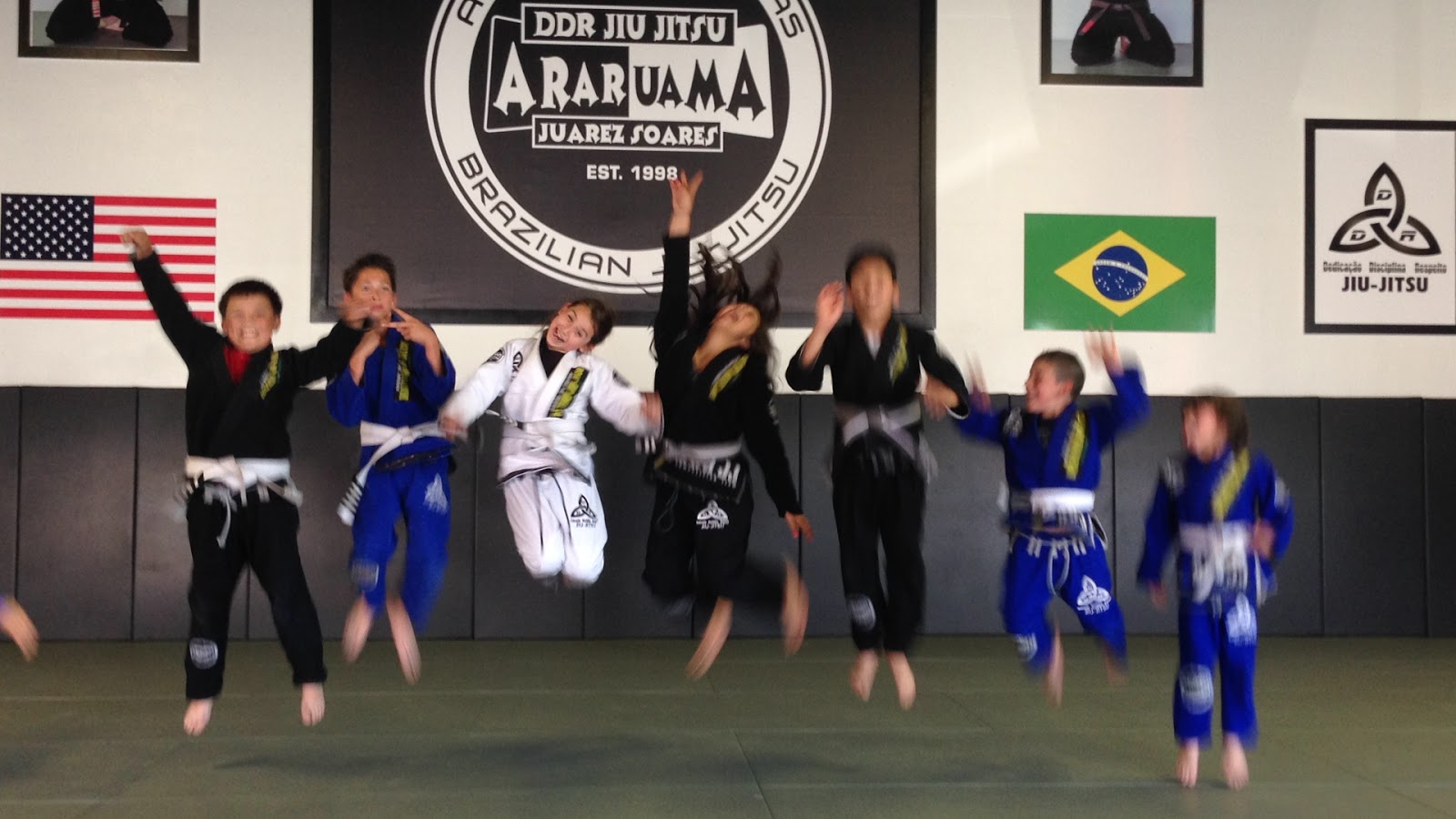 Andre de Freitas Brazilian Jiu-Jitsu photo