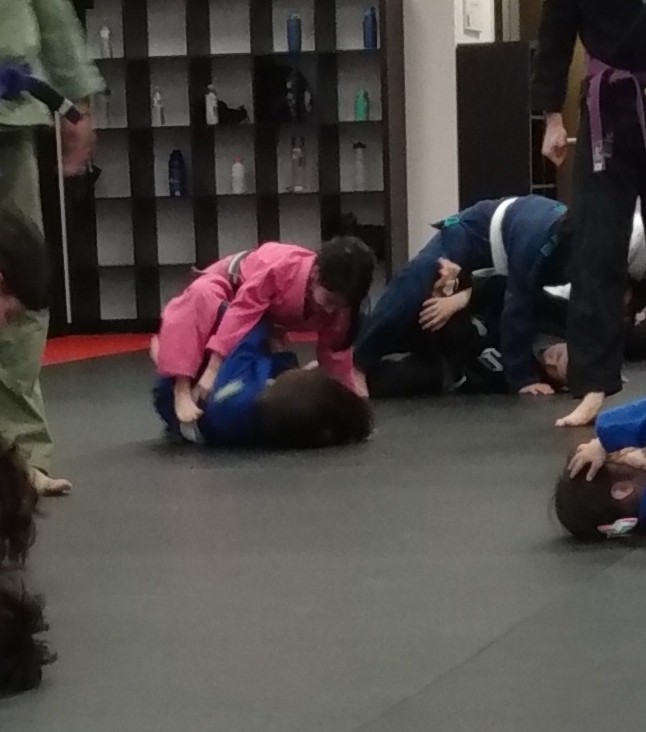 Image 2 of Jiu-Jitsu Dynamics