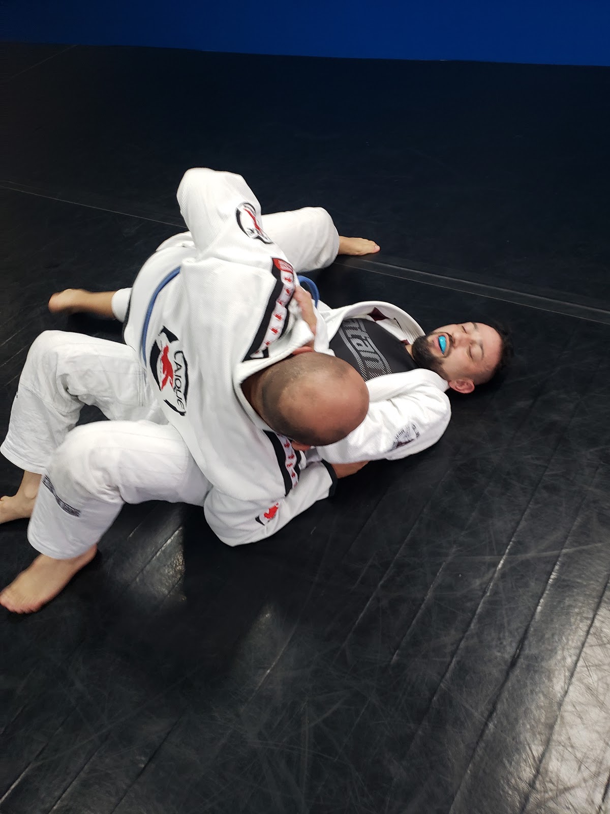 Image 8 of Vibrant Jiu Jitsu