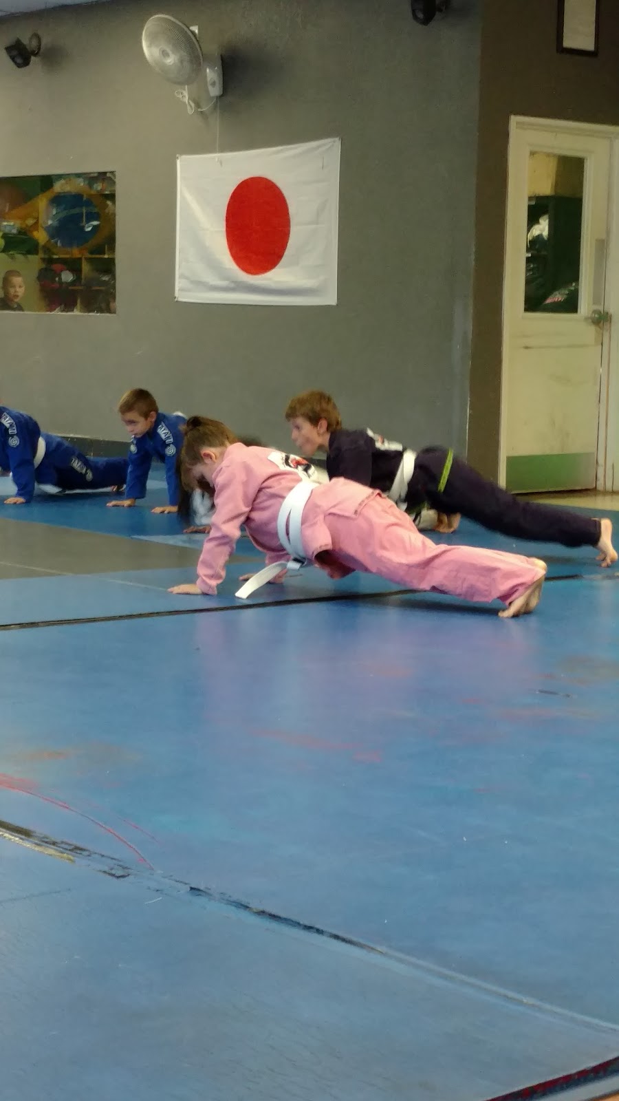 Image 9 of The Jiujitsu Project