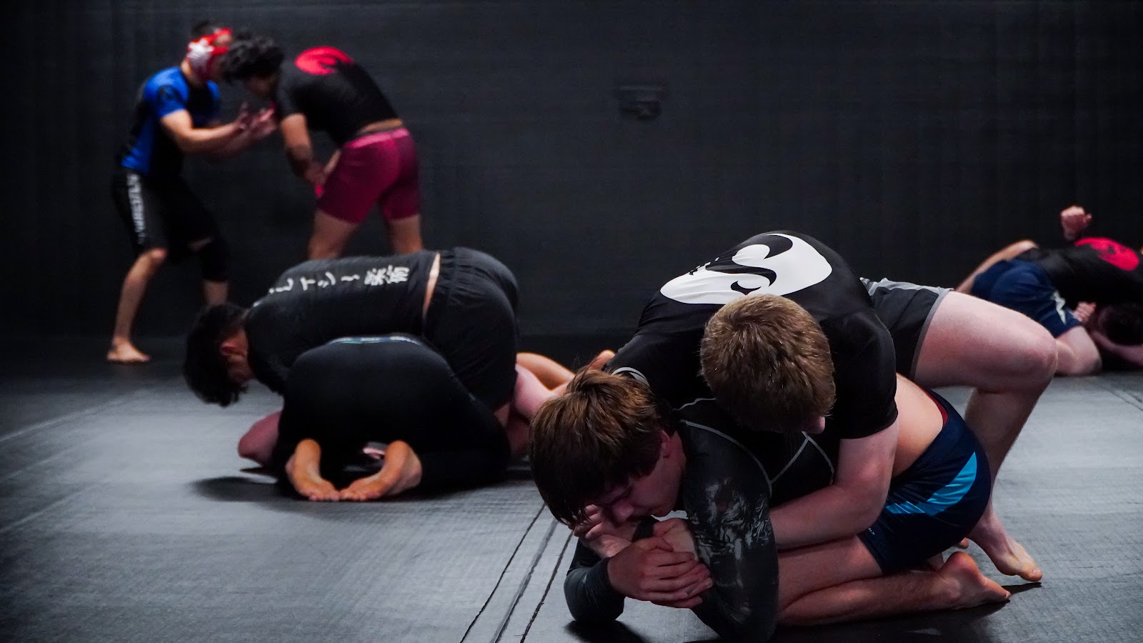 Image 7 of Standard Jiujitsu