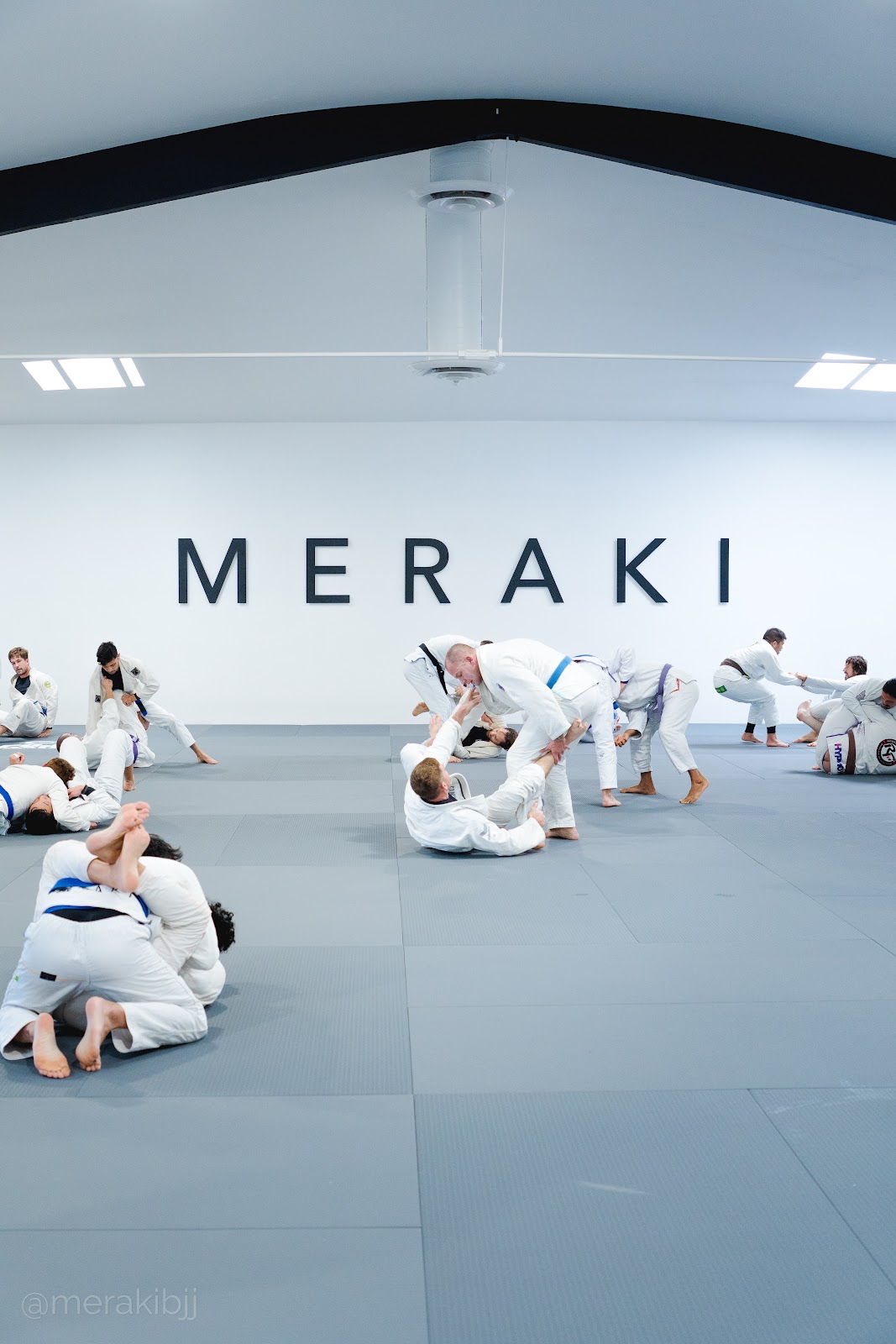 Meraki photo