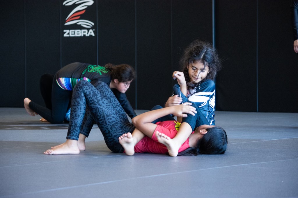 Image 5 of Ares Brazilian Jiu Jitsu Academy