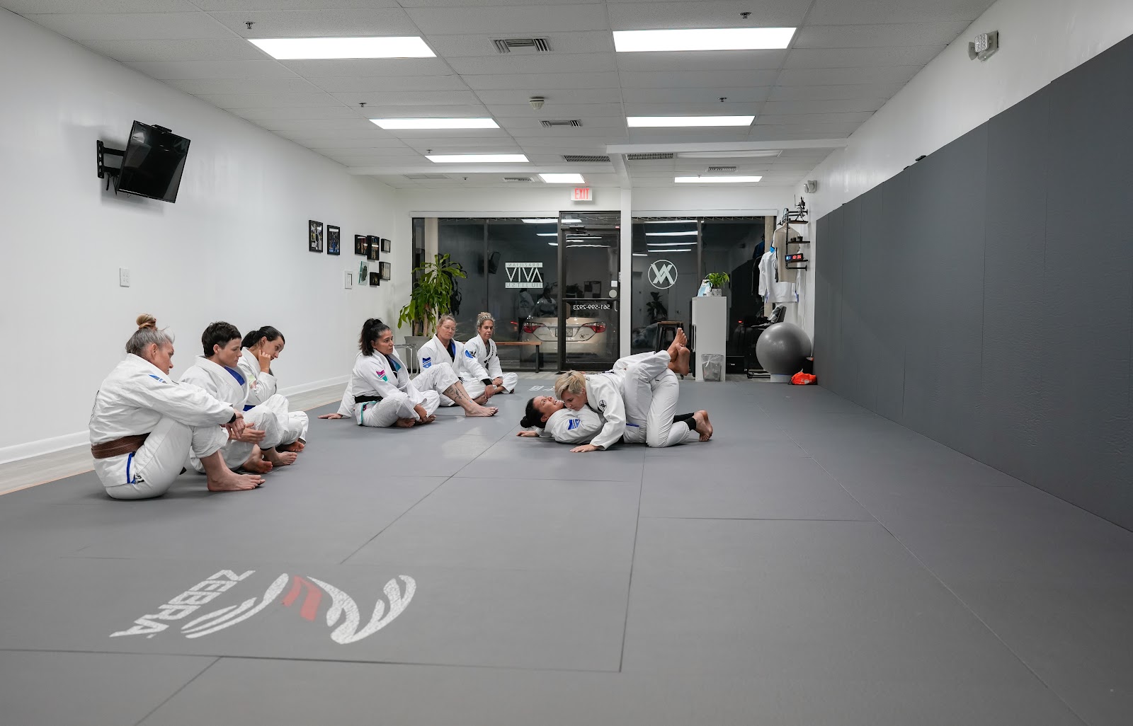 Image 2 of Aviv Jiu Jitsu