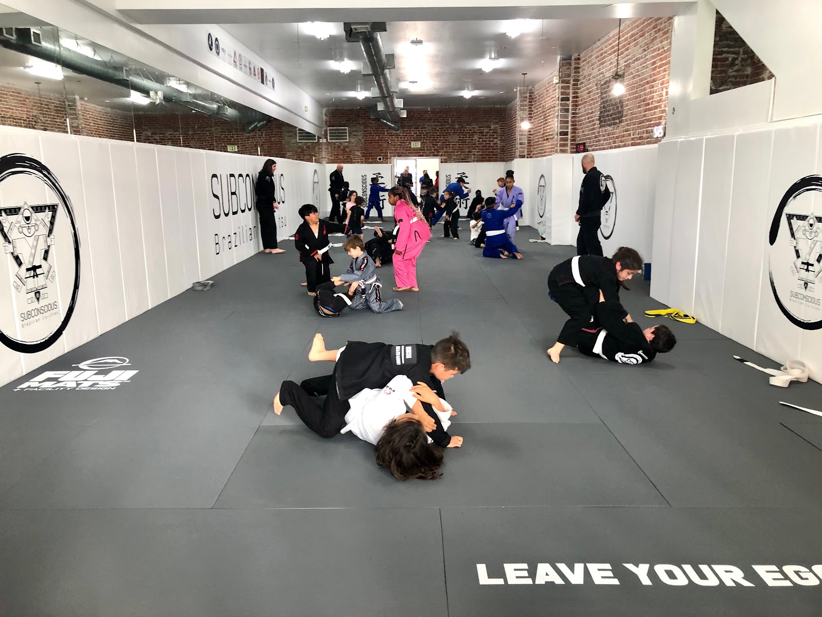 Subconscious BJJ photo