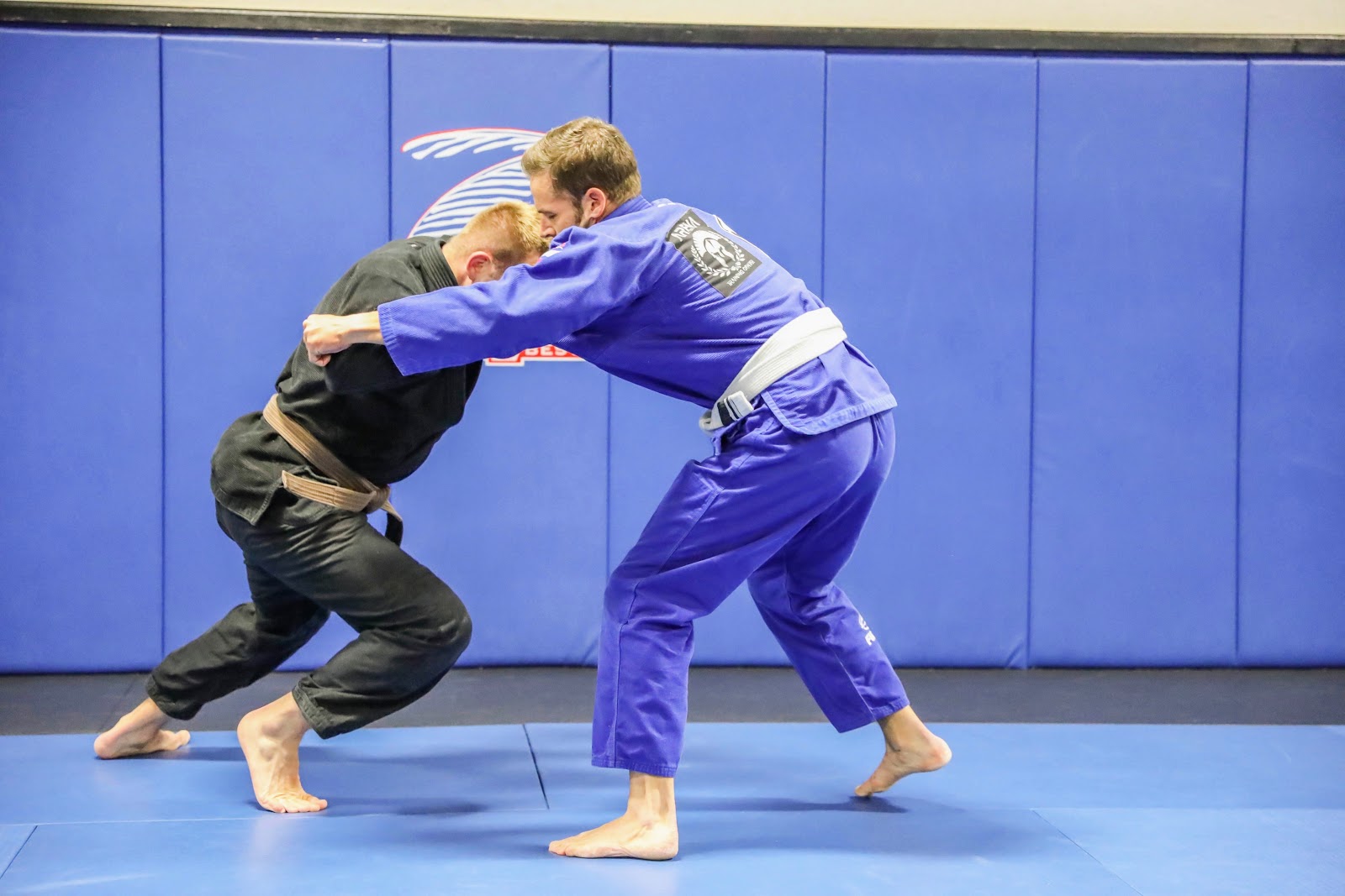 Image 5 of Arena BJJ Livermore